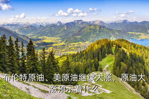 布倫特原油、美原油繼續(xù)大漲，原油大漲預(yù)示著什么