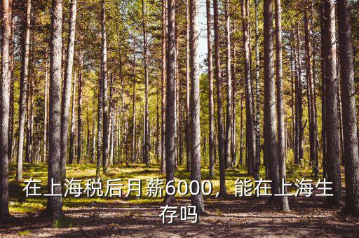 在上海稅后月薪6000，能在上海生存嗎