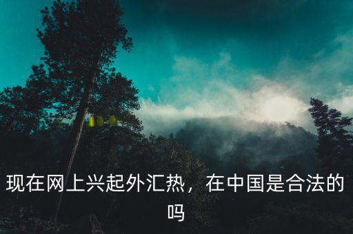 現(xiàn)在網(wǎng)上興起外匯熱，在中國是合法的嗎