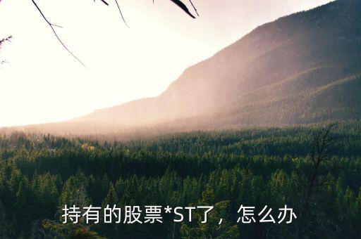 st獅頭股票什么行業(yè),XD股票都是什么意思