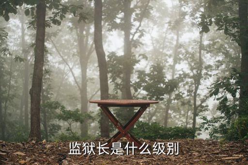 監(jiān)獄長(zhǎng)是什么級(jí)別