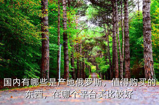 國(guó)內(nèi)有哪些是產(chǎn)地俄羅斯，值得購(gòu)買的東西，在哪個(gè)平臺(tái)買比較好