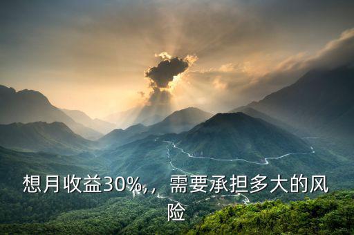 想月收益30%,，需要承擔(dān)多大的風(fēng)險(xiǎn)