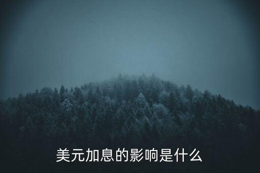 美元加息的影響是什么