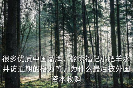 徐福記為什么同意被并購,為什么需要各國的商務(wù)部同意