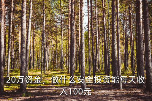 20萬資金，做什么安全投資能每天收入100元