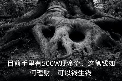 目前手里有500W現(xiàn)金流，這筆錢如何理財(cái)，可以錢生錢