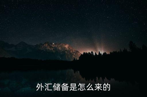 怎么查外匯儲(chǔ)備,外匯儲(chǔ)備是怎么來的