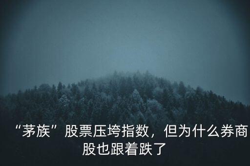 “茅族”股票壓垮指數(shù)，但為什么券商股也跟著跌了