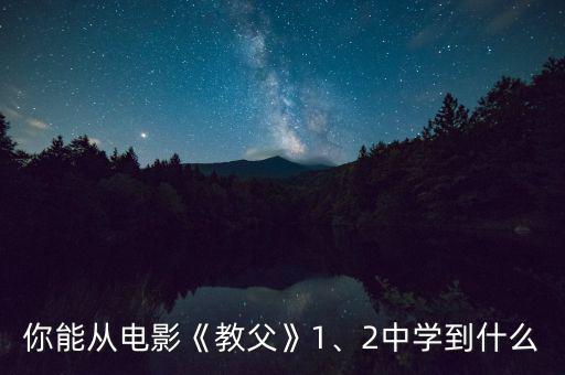 你能從電影《教父》1、2中學到什么