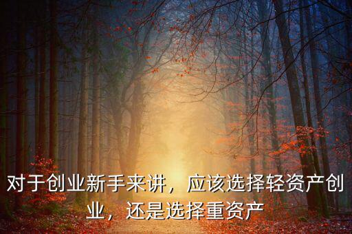 對于創(chuàng)業(yè)新手來講，應(yīng)該選擇輕資產(chǎn)創(chuàng)業(yè)，還是選擇重資產(chǎn)