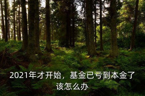 2021年才開始，基金已虧到本金了該怎么辦