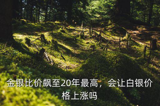 金銀比價飆至20年最高，會讓白銀價格上漲嗎