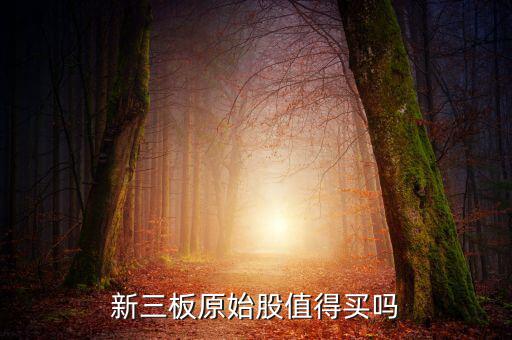 新三板原始股值得買(mǎi)嗎