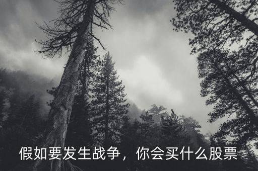 假如要發(fā)生戰(zhàn)爭(zhēng)，你會(huì)買(mǎi)什么股票