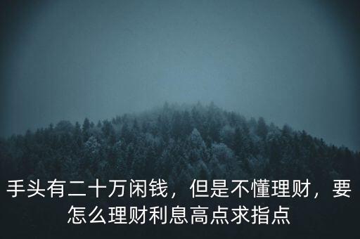 手頭有二十萬閑錢，但是不懂理財(cái)，要怎么理財(cái)利息高點(diǎn)求指點(diǎn)