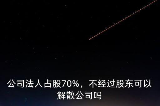 什么人可以解散公司,公司法人占股70%