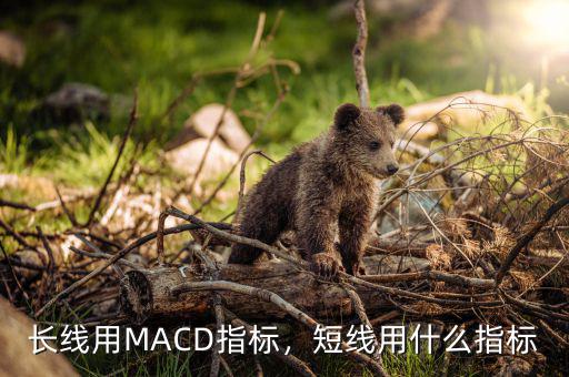 MACD配會(huì)什么指標(biāo),長線用MACD指標(biāo)