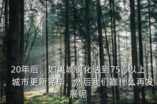 20年后，如果城鎮(zhèn)化達(dá)到75%以上，城市更新完畢，然后我們靠什么再發(fā)展呢