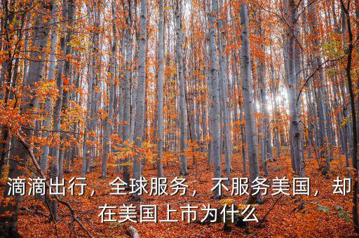 滴滴出行，全球服務(wù)，不服務(wù)美國，卻在美國上市為什么