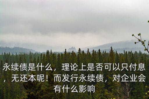 永續(xù)債是什么，理論上是否可以只付息，無(wú)還本呢！而發(fā)行永續(xù)債，對(duì)企業(yè)會(huì)有什么影響