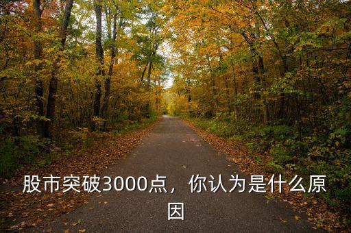 股市突破3000點(diǎn)，你認(rèn)為是什么原因