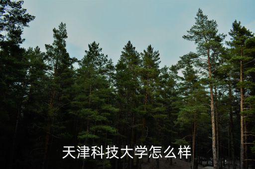 天津科技大學(xué)怎么樣