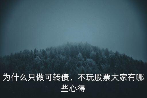 為什么只做可轉(zhuǎn)債，不玩股票大家有哪些心得