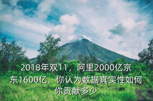 阿里雙11營業(yè)額多少億,2018年雙11