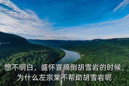 想不明白，盛懷宣搞倒胡雪巖的時(shí)候，為什么左宗棠不幫助胡雪巖呢