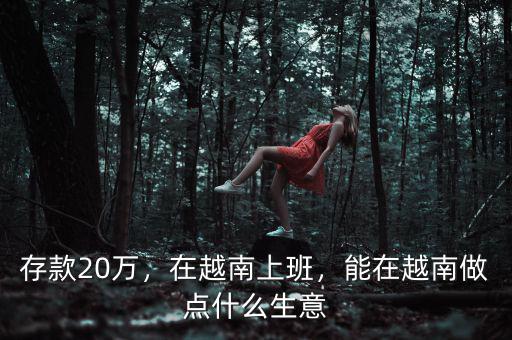 存款20萬，在越南上班，能在越南做點什么生意