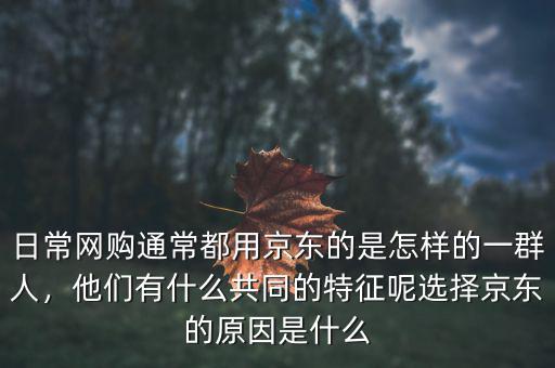 日常網(wǎng)購?fù)ǔ６加镁〇|的是怎樣的一群人，他們有什么共同的特征呢選擇京東的原因是什么