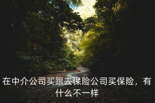 在中介公司買跟去保險公司買保險，有什么不一樣