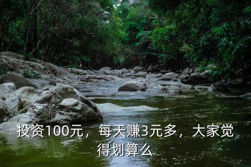 投資100元，每天賺3元多，大家覺得劃算么