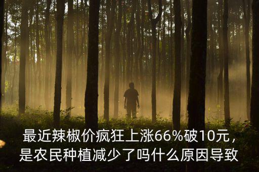 最近辣椒價瘋狂上漲66%破10元，是農(nóng)民種植減少了嗎什么原因?qū)е? class=