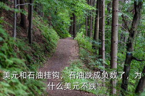 美元和石油掛鉤，石油跌成負(fù)數(shù)了，為什么美元不跌