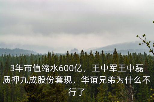 3年市值縮水600億，王中軍王中磊質(zhì)押九成股份套現(xiàn)，華誼兄弟為什么不行了