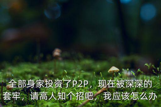 全部身家投資了P2P，現(xiàn)在被深深的套牢，請高人知個招吧，我應(yīng)該怎么辦