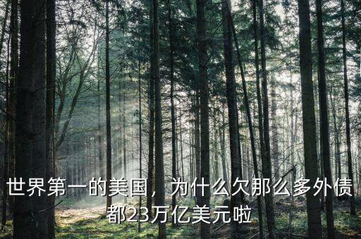 世界第一的美國，為什么欠那么多外債都23萬億美元啦