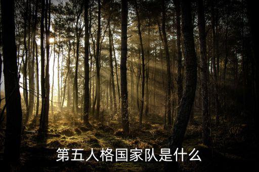 第五人格國家隊(duì)是什么