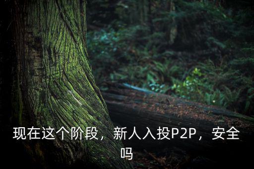 現(xiàn)在這個(gè)階段，新人入投P2P，安全嗎