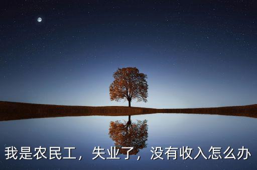 我是農(nóng)民工，失業(yè)了，沒有收入怎么辦