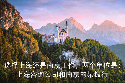 選擇上海還是南京工作，兩個(gè)單位是：上海咨詢公司和南京的某銀行