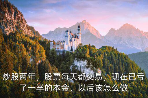 炒股兩年，股票每天都交易，現(xiàn)在已虧了一半的本金，以后該怎么做