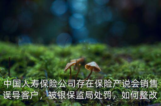 中國人壽保險公司存在保險產(chǎn)說會銷售誤導(dǎo)客戶，被銀保監(jiān)局處罰，如何整改