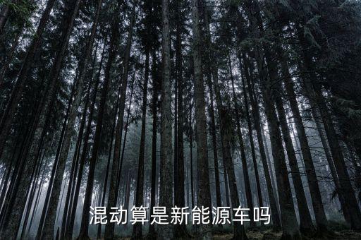 混合動(dòng)力新能源車怎么樣,混合動(dòng)力汽車是新能源汽車嗎