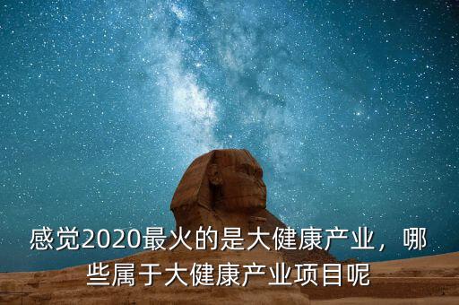 感覺2020最火的是大健康產業(yè)，哪些屬于大健康產業(yè)項目呢