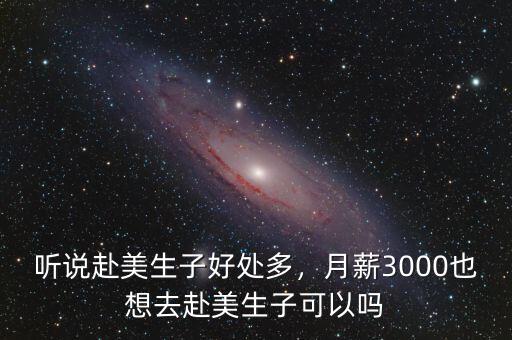 聽說赴美生子好處多，月薪3000也想去赴美生子可以嗎