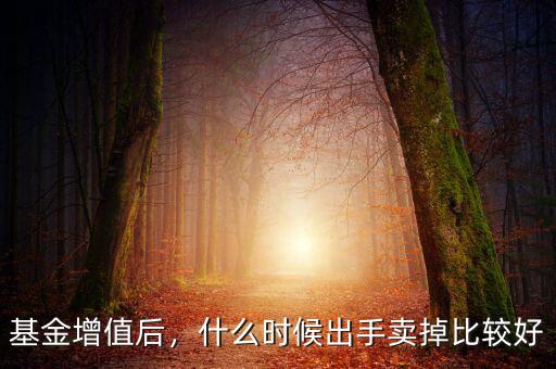 持有B基金什么時(shí)間出手劃箅,基金持有多長(zhǎng)時(shí)間可以賣