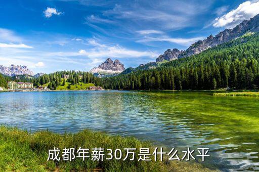 成都年薪30萬(wàn)是什么水平